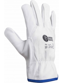 Winter Driver Gloves